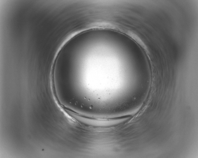 X0000068851440200605051201