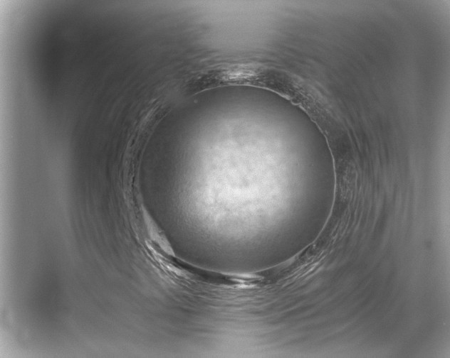 X0000068851441200605051200