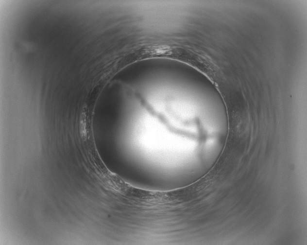 X0000068851442200605051200