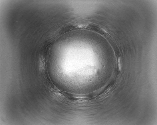 X0000068851443200605051200