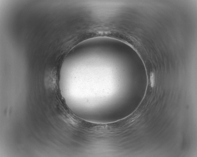 X0000068851444200605051200