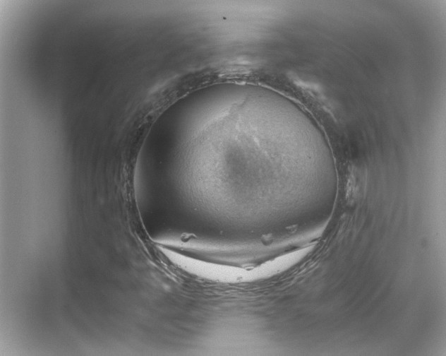 X0000068851445200605051200