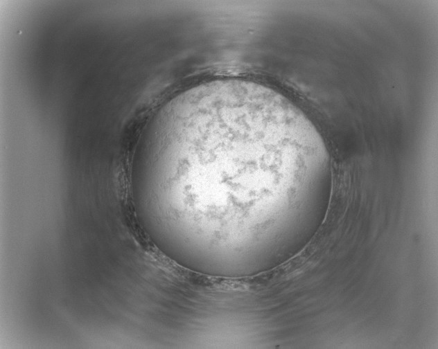 X0000068851446200605051200