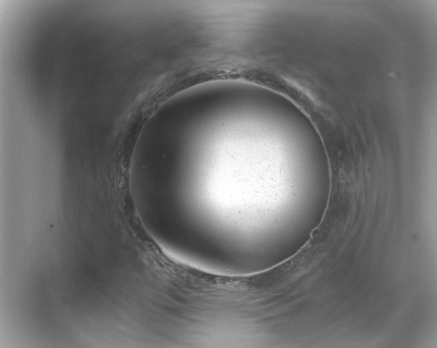 X0000068851447200605051200