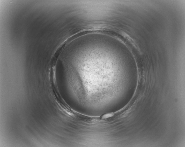 X0000068851449200605051200