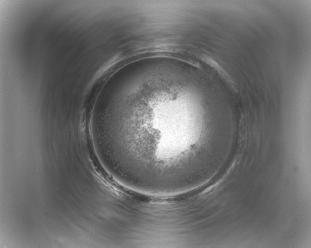 X0000068851450200605051200