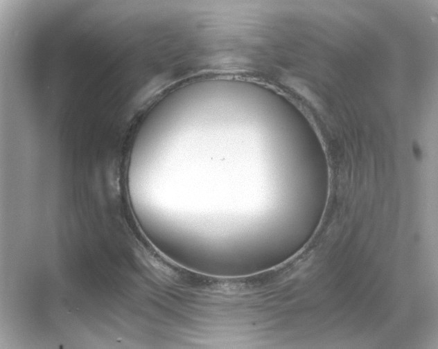 X0000068851451200605051200