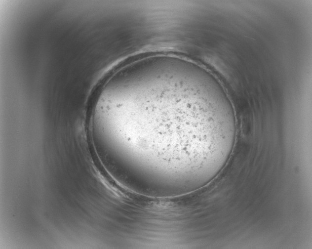 X0000068851452200605051200