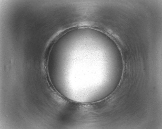 X0000068851454200605051200