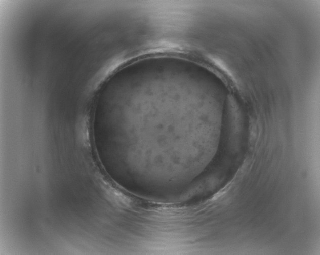 X0000068851455200605051200