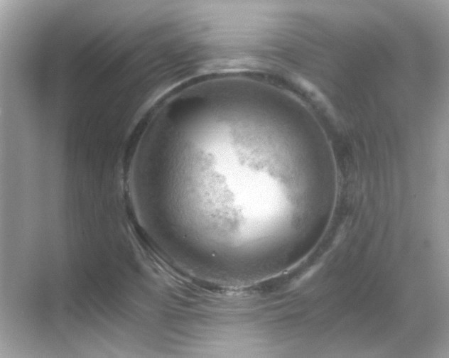 X0000068851457200605051200