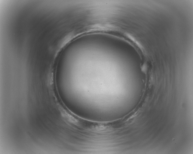 X0000068851459200605051200