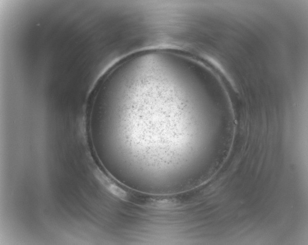 X0000068851460200605051200