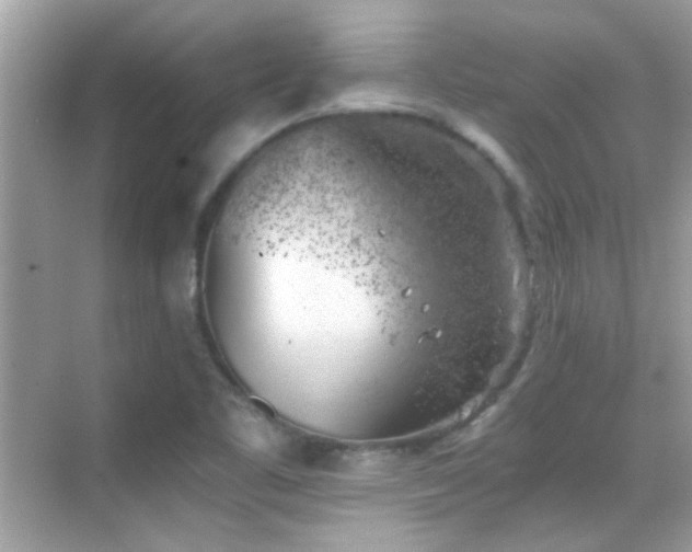 X0000068851461200605051200