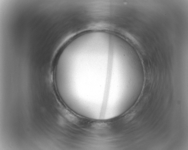 X0000068851462200605051200