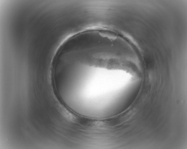 X0000068851463200605051200