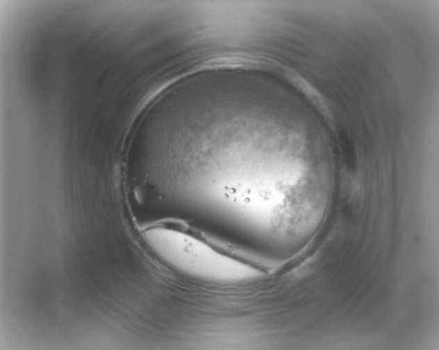 X0000068851465200605051200