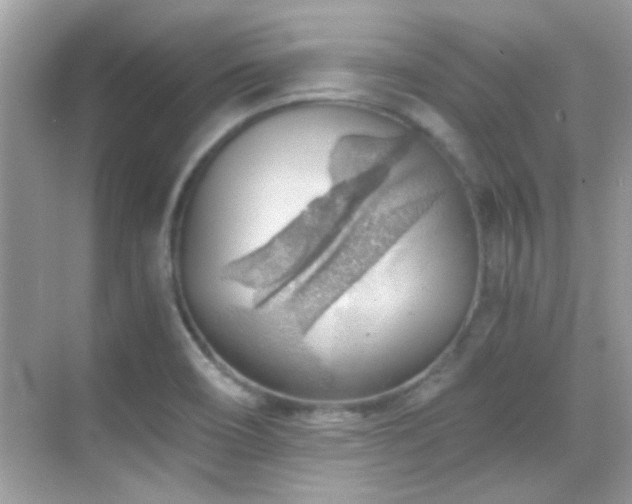 X0000068851466200605051200