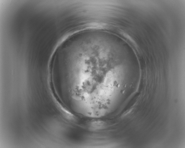 X0000068851467200605051200