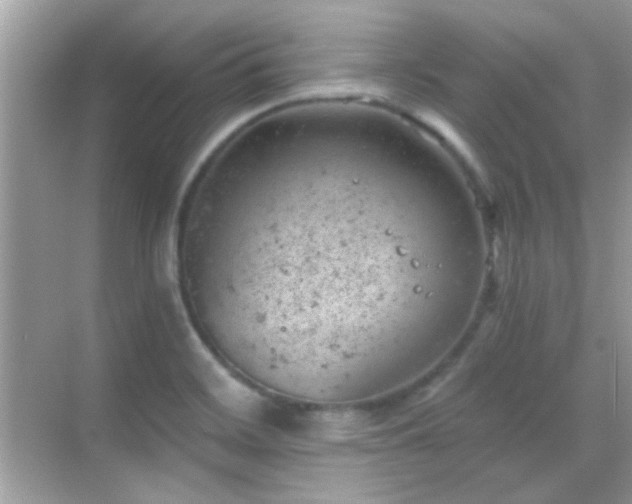 X0000068851468200605051200