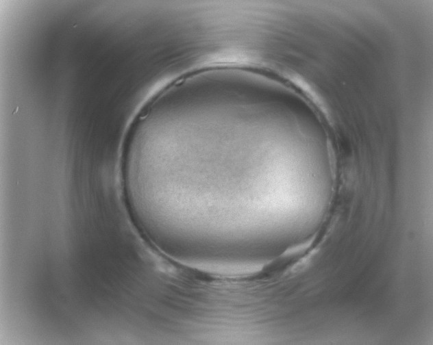 X0000068851469200605051200