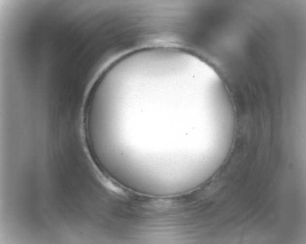 X0000068851470200605051200