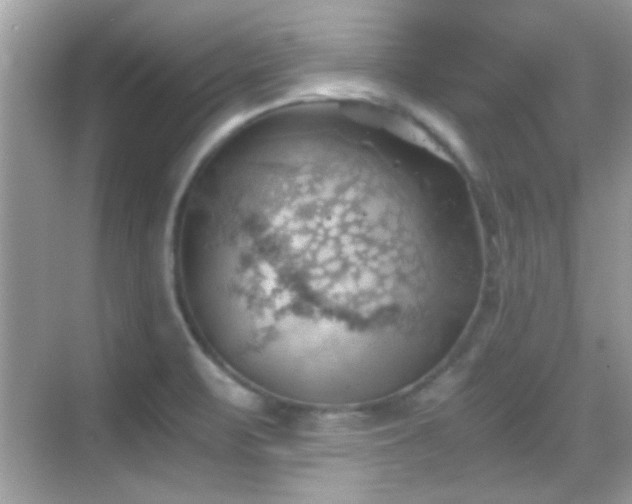 X0000068851471200605051200