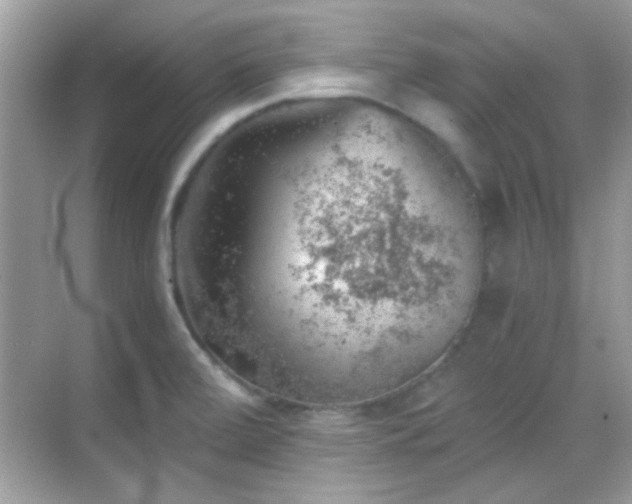 X0000068851472200605051200