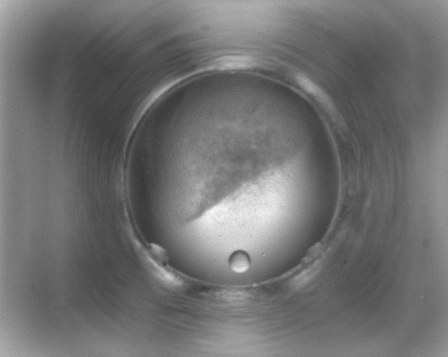 X0000068851473200605051200