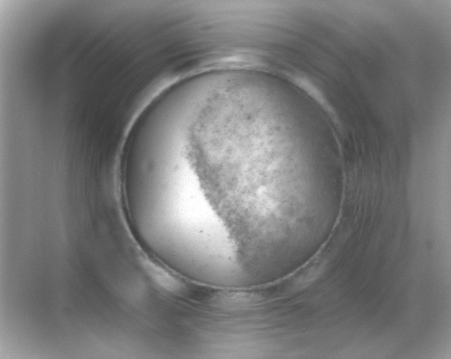 X0000068851474200605051200