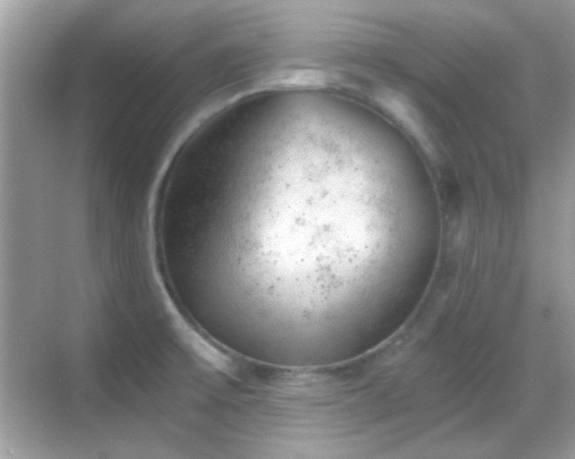 X0000068851475200605051200