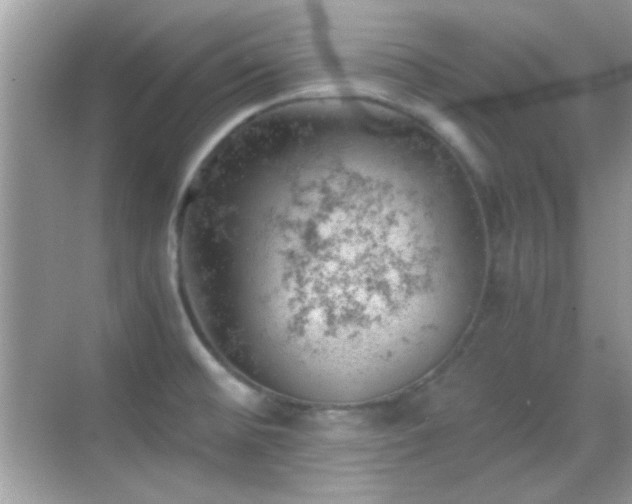 X0000068851476200605051200