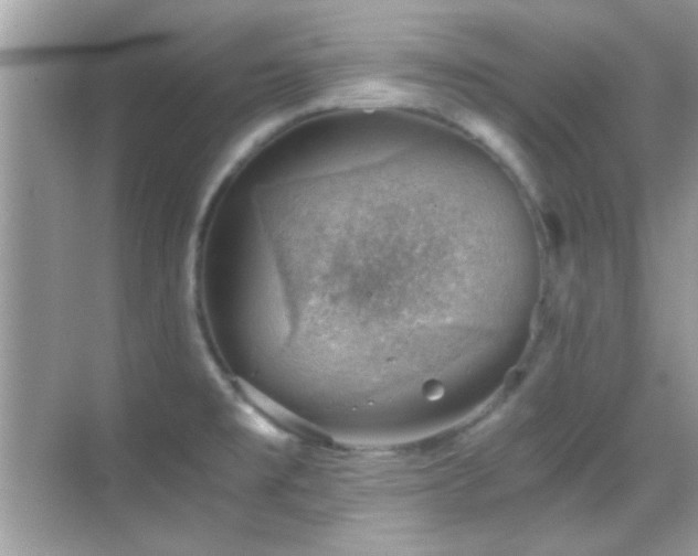 X0000068851477200605051200