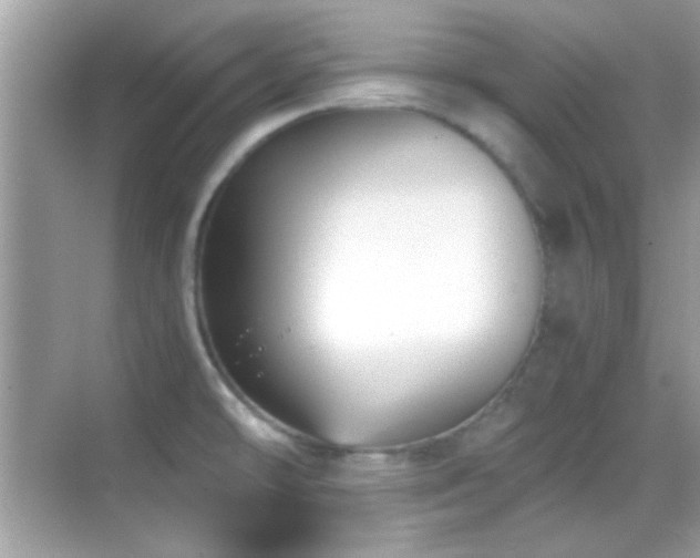 X0000068851478200605051200