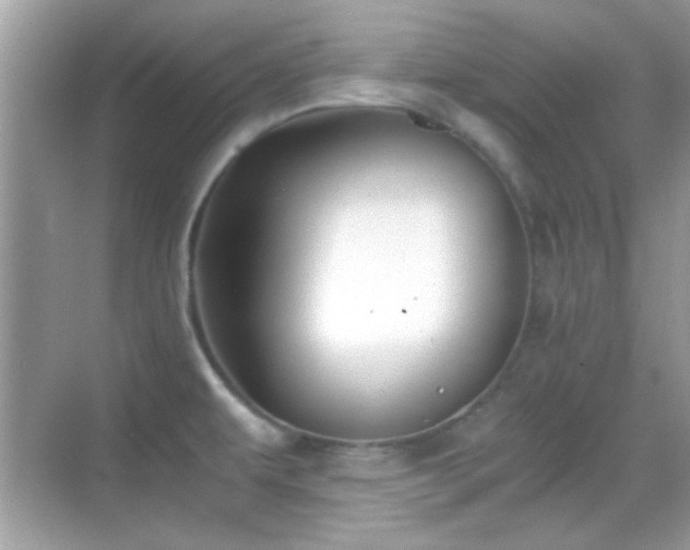 X0000068851479200605051200