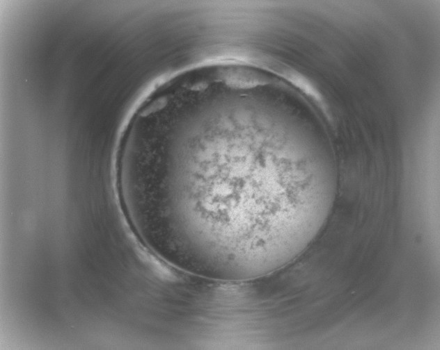 X0000068851480200605051200