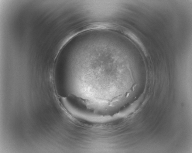 X0000068851481200605051200