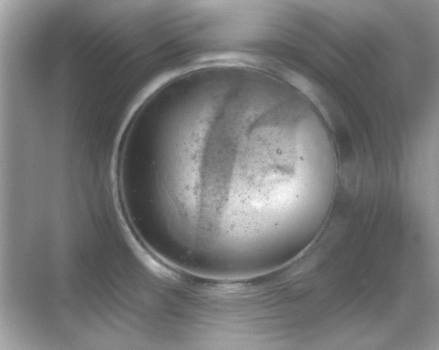 X0000068851482200605051200