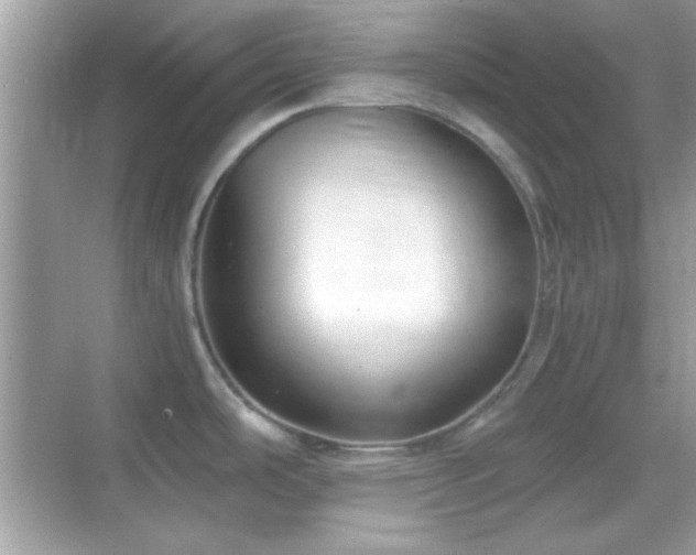 X0000068851486200605051159