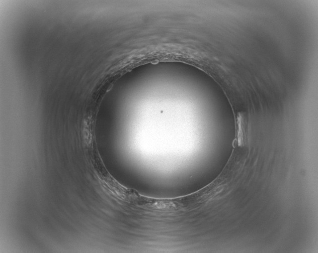 X0000068851491200605051159