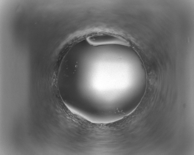 X0000068851495200605051159