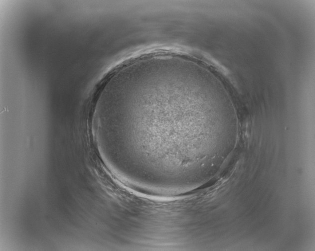 X0000068851496200605051159