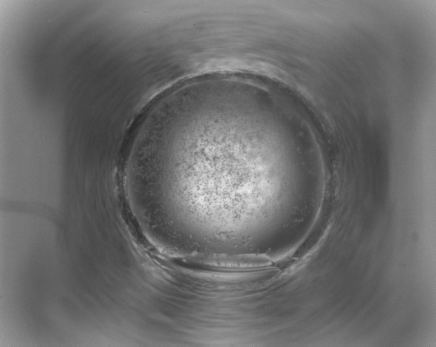 X0000068851497200605051159