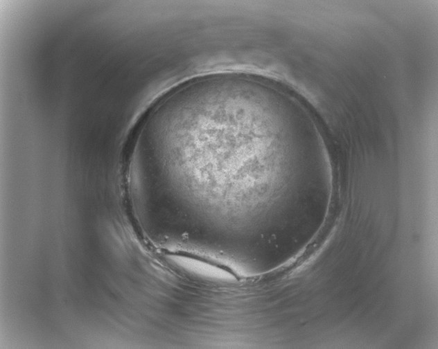 X0000068851501200605051159