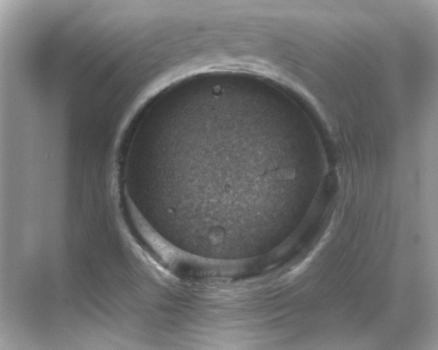 X0000068851506200605051159