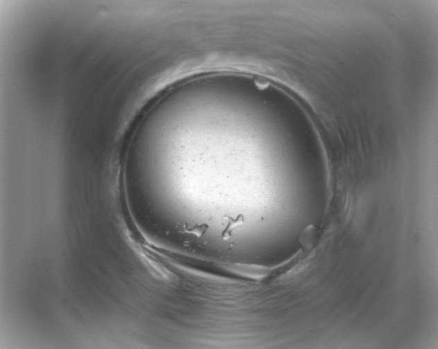 X0000068851507200605051159