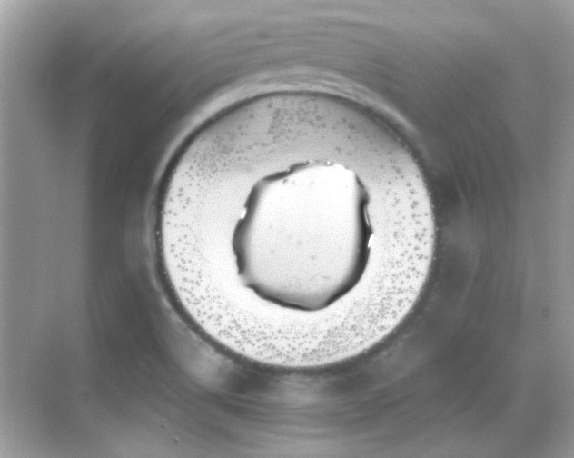 X0000068851514200605051159