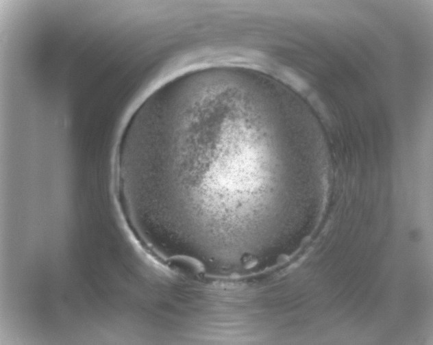 X0000068851520200605051159