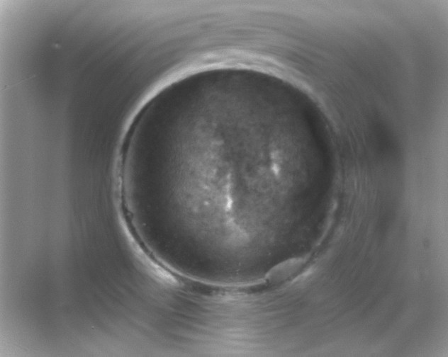 X0000068851522200605051159