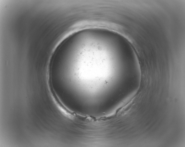 X0000068851523200605051159